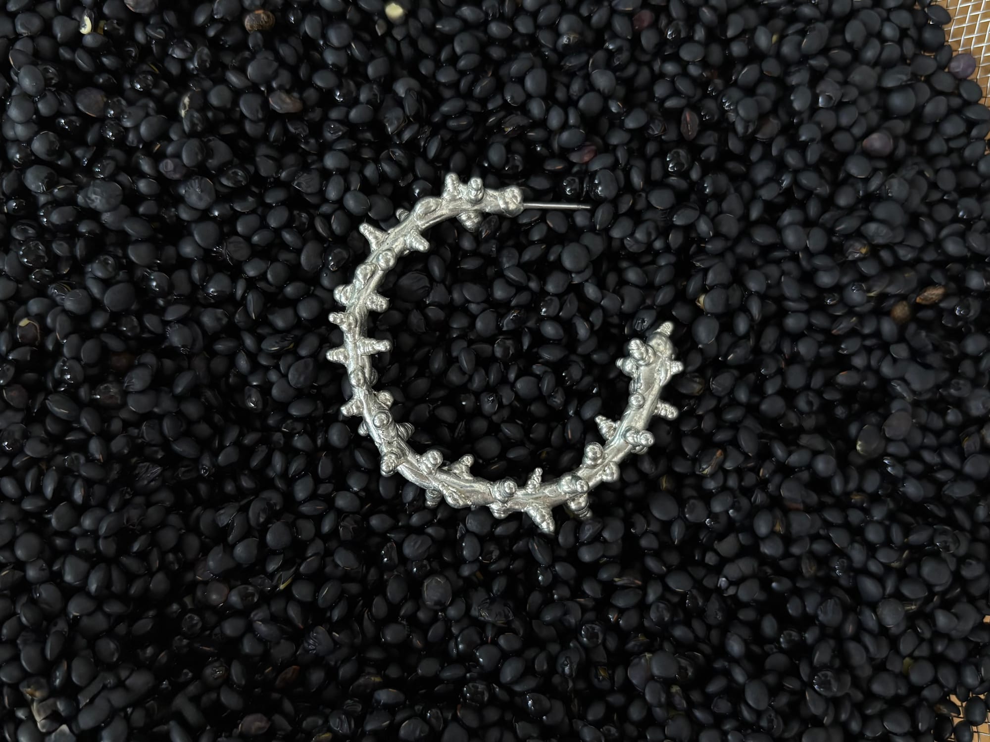 a thorned silver hoop resting on black seeds